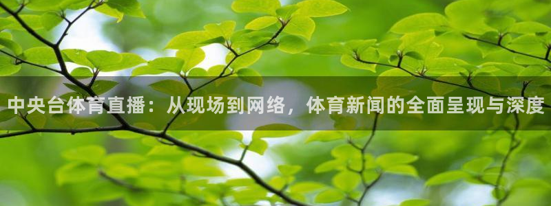 jrs蜘蛛直播nba免费