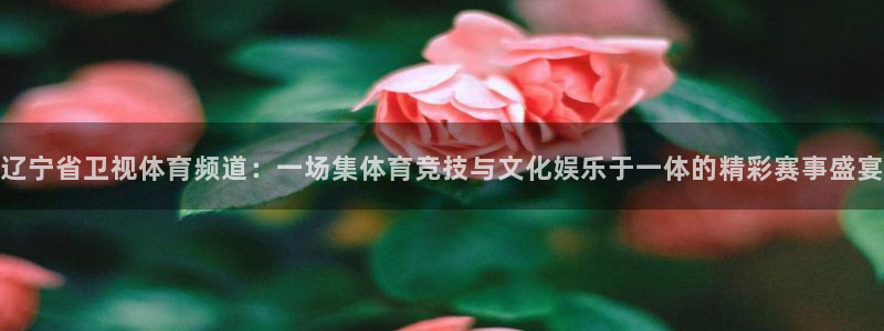 jrs蜘蛛直播球帝带