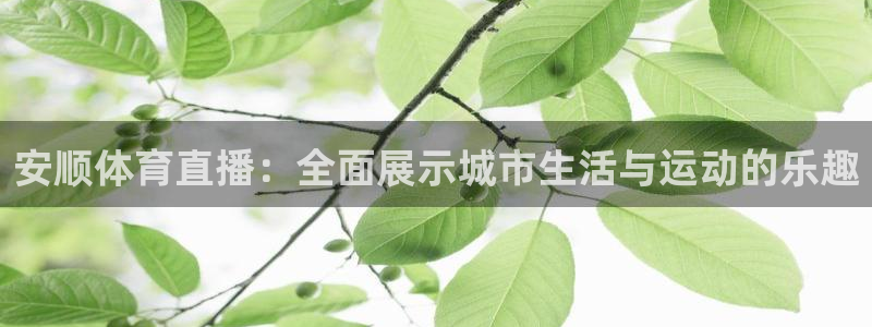 美女直播nba直播蜘蛛侠