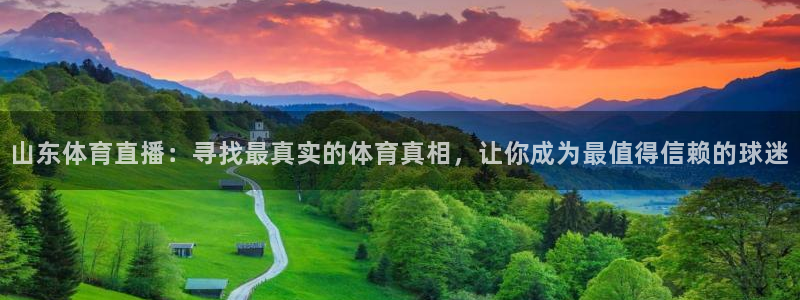 蜘蛛直播nba免费