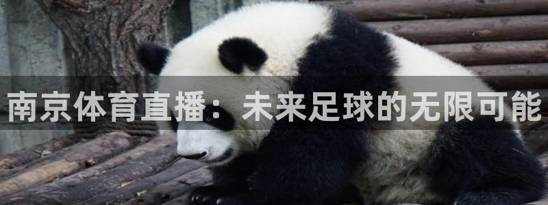 蜘蛛足球：南京体育直播：未来足球的无限可能
