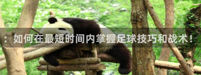 jrs蜘蛛直播nba免费：：如何在最短时间内掌握足球技巧和战术！