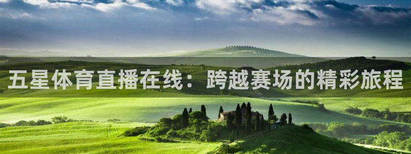 蜘蛛直播球地带：五星体育直播在线：跨越赛场的精彩旅程